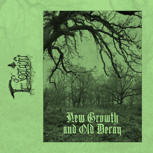 Tree Gardener : New Growth and Old Decay Tree Gardener : New Growth and Old Decay